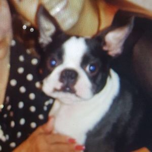 Meet your Posher, Patty